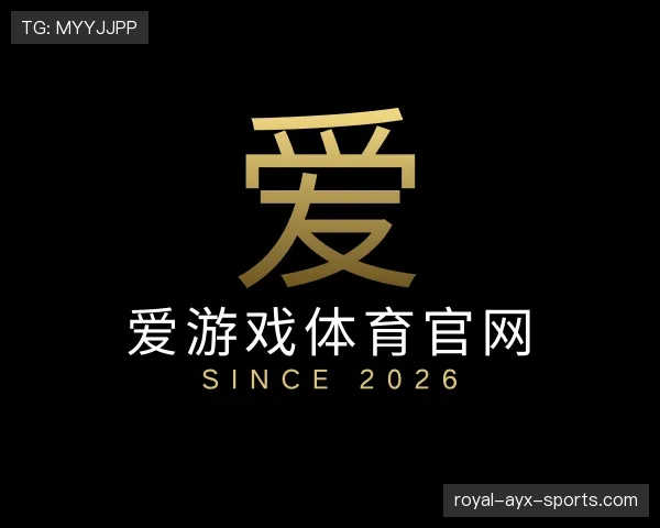 关于爱游戏